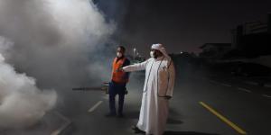 خطط متكاملة من بلدية دبي لمكافحة آفات الصحة العامة بعد الحالة الجوية التي شهدتها الإمارة - نايل 360