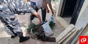 توقيف 7 سوريين داخل جبانة باب الرمل في طرابلس اثناء محاولتهم قطع الاشجار المعمرة - نايل 360