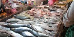 «الصحة» تكثف حملاتها على المنشآت الغذائية وأماكن بيع الأسماك المملحة - نايل 360
