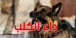 خلال 3 سنوات و4 أشهر: داء الكلب يودي بحياة 20 تونسيّا - نايل 360