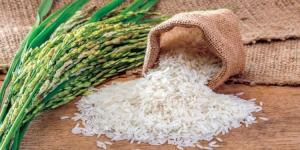 تعرف على سعر الأرز اليوم الأربعاء 8-5-2024 في الأسواق - نايل 360