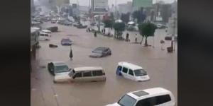 شاهد .. السيول تجرف السيارات والمواطنين في محافظة إب وسط اليمن - نايل 360