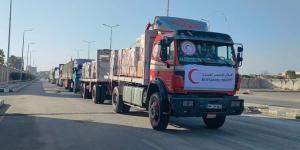 القاهرة الإخبارية: برنامج الأغذية العالمي يحذر من توقف عملياته في غزة - نايل 360