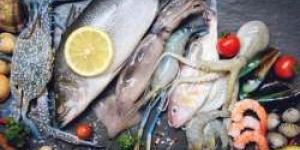 أسعار الأسماك في السعودية اليوم 9 مايو 2024.. قائمة بـ ألذ وأشهي الأنواع - نايل 360