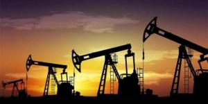ارتفاع أسعار النفط بسبب هبوط مخزونات الخام الأمريكية  - نايل 360