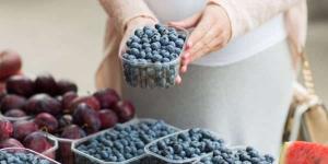التوت الأزرق فاكهة شهية و طريق آمن لـ فقدان الوزن والحفاظ علي الصحة - نايل 360