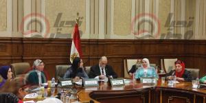 بحضور مايا مرسي.. انطلاق اجتماع «تضامن النواب» لمناقشة موازنة «القومي للمرأة» - نايل 360