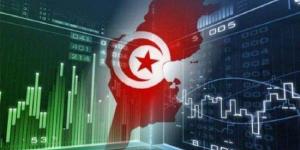الثلاثي الأول من 2024: تونس تستقطب استثمارات خارجيّة بقيمة 517 مليون دينار - نايل 360