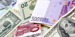 سعر اليورو بالبنك المركزي صباح اليوم الجمعة 10- 5 - 2024 - نايل 360