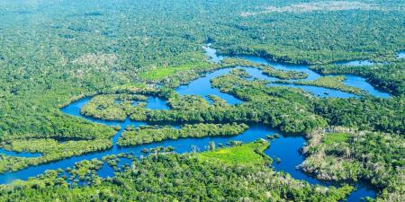 اليابان والبرازيل تتفقان على حماية غابات الأمازون المطيرة - نايل 360