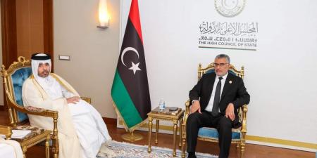 تكالة يبحث مع السفير القطري مستجدات الوضع السياسي في ليبيا - نايل 360
