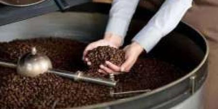 لإنتاج وتصدير أجود أنواع البن السعودي إلي مختلف دول العالم.. إنشاء أول مصنع للقهوة في جازان - نايل 360