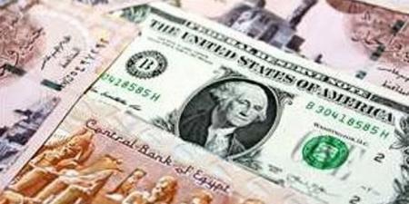 استقرار أسعار صرف الدولار مقابل الجنيه المصري - نايل 360