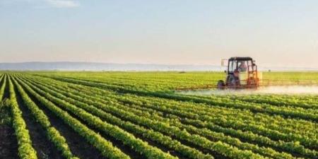 خبير بالاستثمار الزراعي يكشف خطوات اهتمام الدولة باستصلاح الأراضي (فيديو) - نايل 360