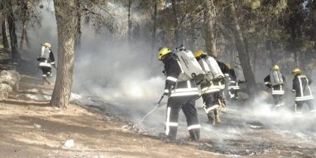اخماد حريقي أعشاب ومحاصيل زراعية ..  ومديرية الأمن العام تحذر المواطنين - نايل 360