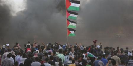 نائب بالشيوخ: الجانب الإسرائيلي مصمم  على خروج حركة حماس من الساحة الفلسطينية - نايل 360