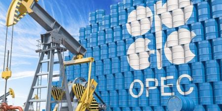 "أوبك" تقرر وقف نشر تقديرات الطلب العالمي على النفط - نايل 360