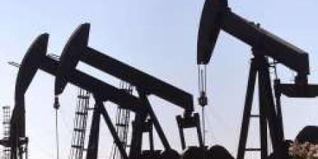 تقلص مخزونات الخام الأمريكية يدفع أسعار النفط للارتفاع - نايل 360