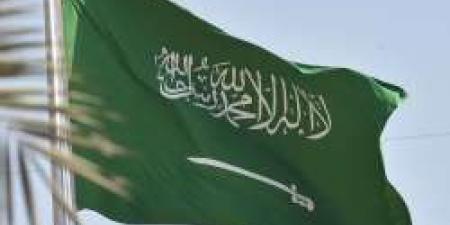 منح الجنسية السعودية بدون رسوم 2024 كيفية التقديم والشروط والأوراق المطلوبة - نايل 360