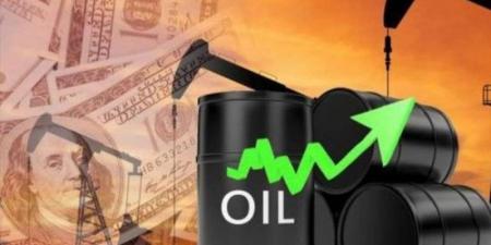ارتفاع أسعار النفط - نايل 360
