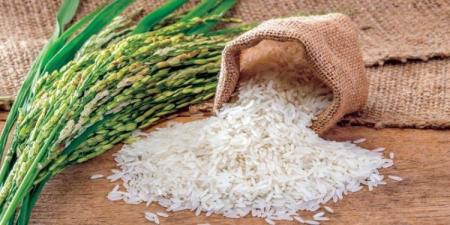 سعر الأرز اليوم الجمعة 10-5-2024 في الأسواق - نايل 360