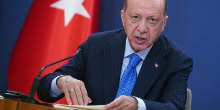 أردوغان: تركيا تحتاج إلى دستور مدني جديد - نايل 360