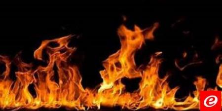 حريق في حي المشاع بين المنصوري ومجدل زون بسبب ارتفاع درجات الحرارة - نايل 360