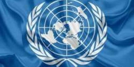 بأغلبية ساحقة.. الجمعية العامة للأمم المتحدة توصي بحصول فلسطين على العضوية الكاملة - نايل 360
