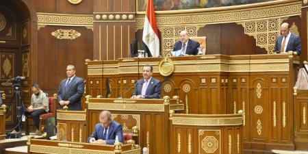 خارجية الشيوخ تناقش خطة التواصل مع الطلاب المصريين الدارسين بالخارج الأسبوع المقبل - نايل 360