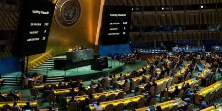 قرار تاريخي.. الإمارات و142 دولة تصوت لدعم العضوية الكاملة لفلسطين بالأمم المتحدة - نايل 360