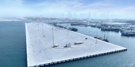 "دي بي ورلد" تعلن استكمال مشروع توسعة ميناء الحمرية - نايل 360