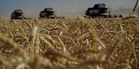 العالم اليوم - أسعار عقود القمح تتجه لتحقيق أعلى تسوية منذ أغسطس 2023 - نايل 360