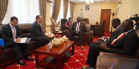 السفير المصري في جوبا يلتقي بوزير الخارجية الجنوب سوداني المعين - نايل 360