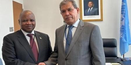 الحكومة الشرعية تلجأ لـ‘‘موزمبيق’’ وتطلب التدخل العاجل لردع مليشيا الحوثي - نايل 360