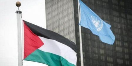 9 دول صوتت ضد عضوية فلسطين في الأمم المتحدة .. أسماء - نايل 360