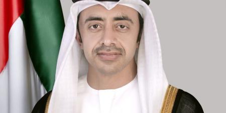 عبدالله بن زايد: الإمارات تستنكر تصريحات رئيس الوزراء الإسرائيلي حول دعوة الدولة للمشاركة في إدارة مدنية لقطاع غزة - نايل 360