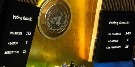 العالم اليوم - ماذا يعني قرار الأمم المتحدة بالنسبة إلى فلسطين؟ - نايل 360