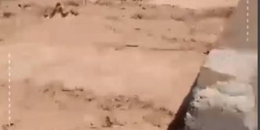 جريان السيول جراء غزارة تساقط الأمطار في منطقة تل الرمل  - فيديو - نايل 360