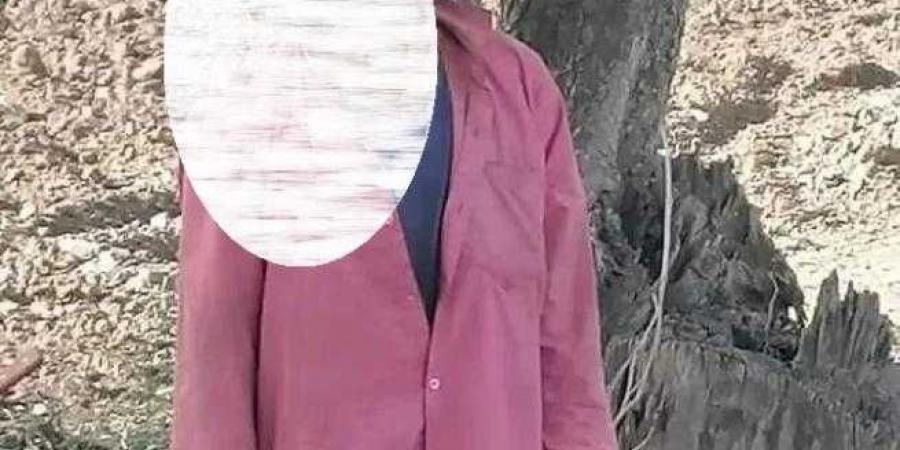 العثور على جثة مواطن معلقة في شجرة جنوب غربي اليمن - نايل 360