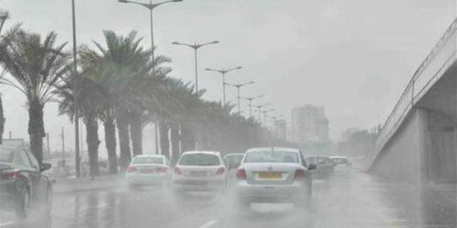 شبورة وأمطار، حالة الطقس اليوم الثلاثاء 7-5-2024 في مصر - نايل 360