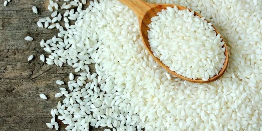 سعر الأرز اليوم الثلاثاء 7-5-2024 في الأسواق - نايل 360