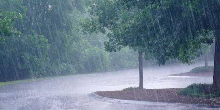 الوضع الجوي: رياح قويّة وأمطار رعدية وغزيرة بهذه المناطق - نايل 360