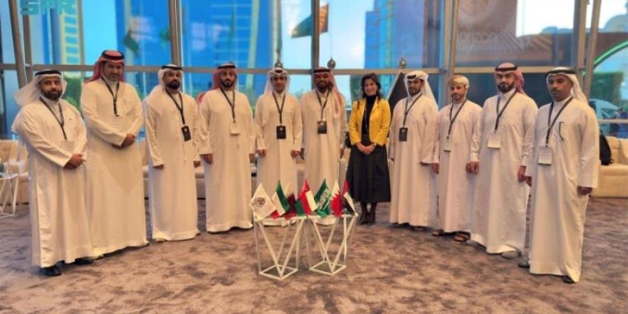 المجلس الوطني للسلامة والصحة المهنية يعقد اجتماعا مع المكتب التنفيذي لوزراء العمل بدول الخليج - نايل 360