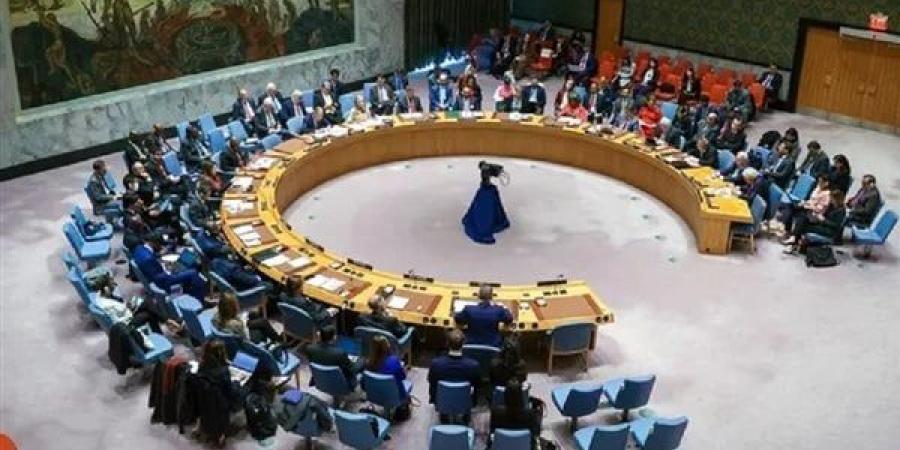 الفلسطينيون يعلقون آمالهم على عضوية مجلس الأمن بعد تصويت الأمم المتحدة - نايل 360