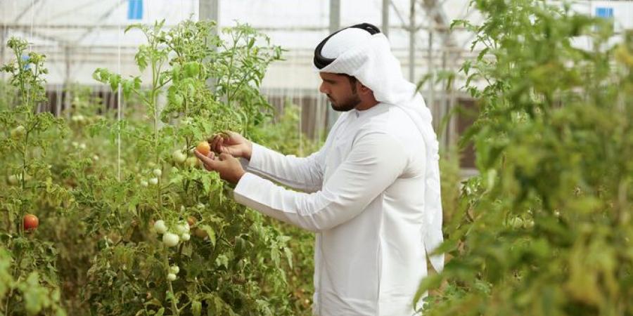 لتعزيز منظومة الأمن الغذائي.. قرار جديد يستهدف تحسين دخل "صغار المزارعين" في أبوظبي - نايل 360