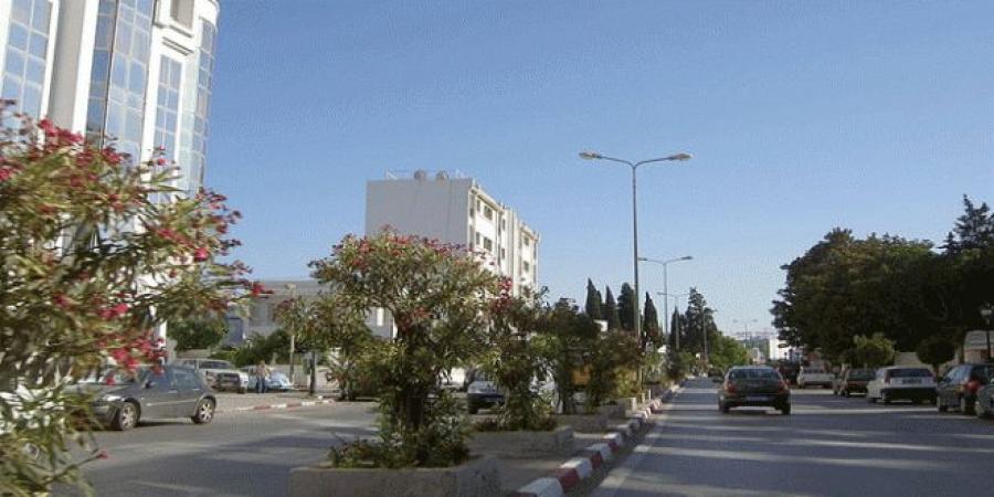 أريانة: الشروع في إزالة مظاهر الانتصاب الفوضوي بمفترق سيدي عمر بمعتمدية روّاد - نايل 360