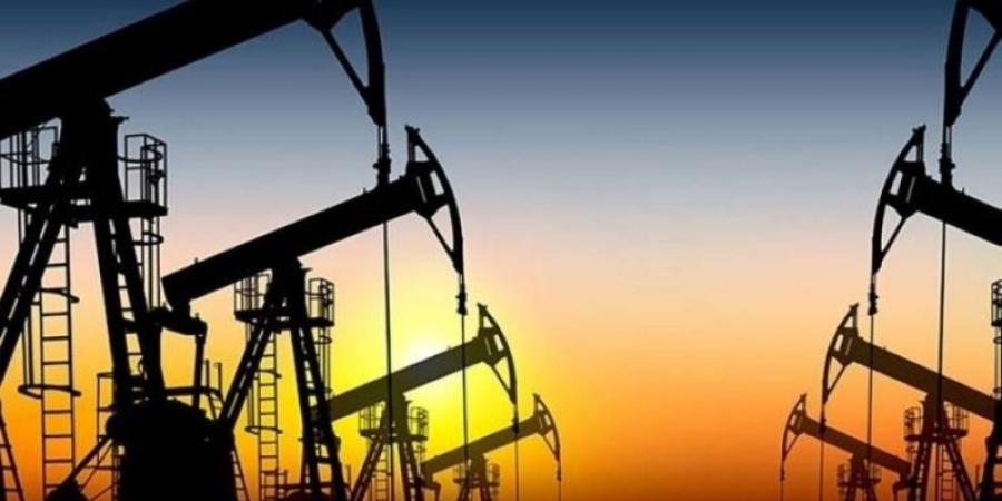 استقرار أسعار النفط - نايل 360
