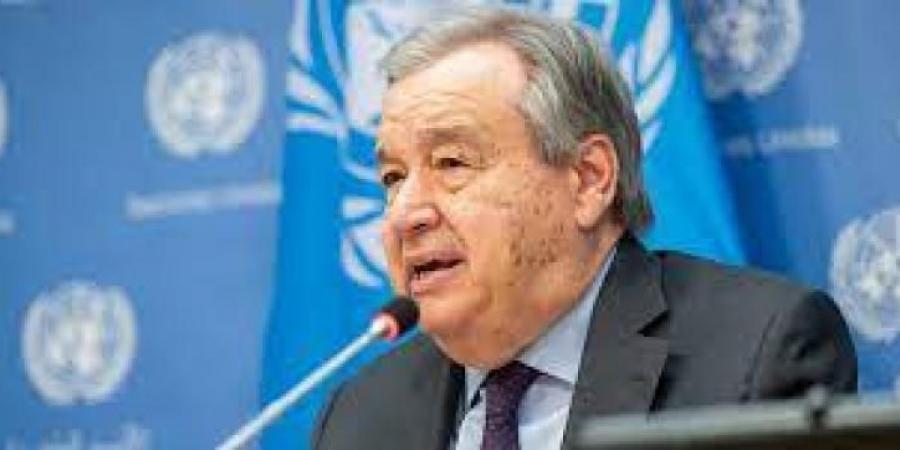 الأمم المتحدة تحث حكومة الاحتلال على وقف التصعيد والمشاركة في المفاوضات - نايل 360