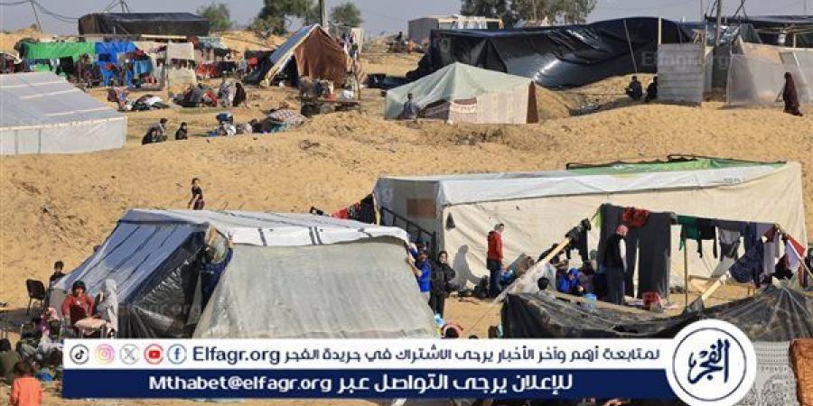 اللواء سيد الجابري: مصر مستمرة في تقديم كل أوجه الدعم الممكنة للفلسطينيين - نايل 360